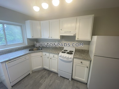 Brighton 2 Bed 1 Bath BOSTON Boston - $2,700