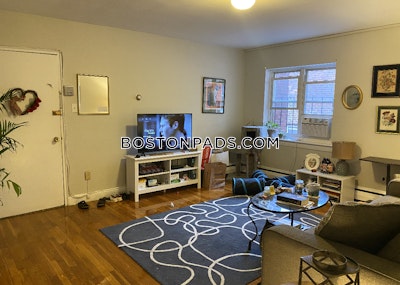 Brighton Spacious 2 bed 1 bath available 9/1 on Chiswick Rd in Brighton!  Boston - $2,950 No Fee