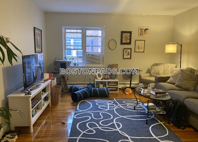 Brighton 2 Beds 1 Bath Boston - $2,950 No Fee