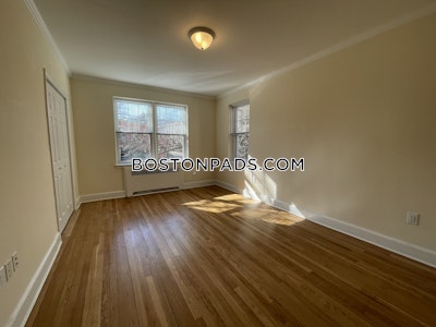 Brighton 1 Bed 1 Bath BOSTON Boston - $2,825 No Fee