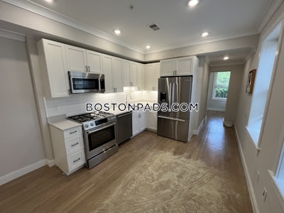 Brighton 2 Beds 1 Bath Boston - $3,550 No Fee