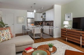 Downtown Apartment for rent Studio 1 Bath Boston - $3,650