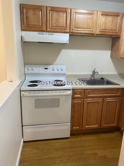 Allston Apartment for rent Studio 1 Bath Boston - $2,100 No Fee