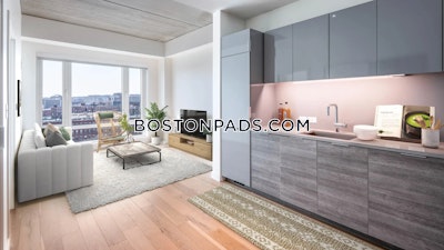 South End 2 bedroom  baths Luxury in BOSTON Boston - $5,110