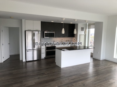 Brighton Apartment for rent 1 Bedroom 1 Bath Boston - $5,870 No Fee