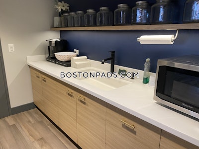 Allston 1 Bed 1 Bath Boston - $3,020