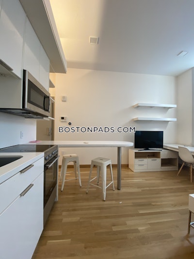 Cambridge Apartment for rent Studio 1 Bath  Harvard Square - $3,100 No Fee