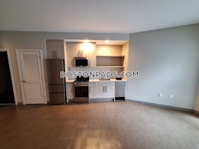 Jamaica Plain Studio  baths Luxury in BOSTON Boston - $3,140 No Fee