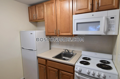 Cambridge Apartment for rent Studio 1 Bath  Mt. Auburn/brattle/ Fresh Pond - $2,000 No Fee