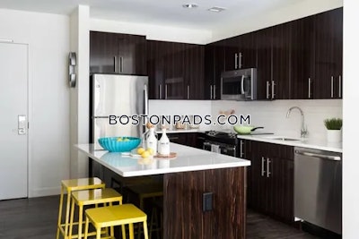 Lower Allston Apartment for rent Studio 2 Baths Boston - $2,844