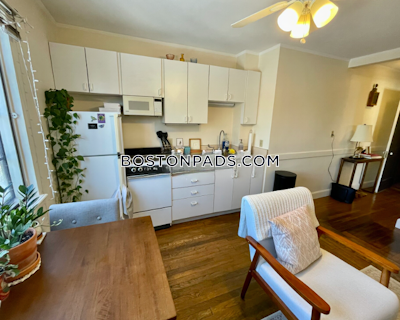 Brookline Apartment for rent 1 Bedroom 1 Bath  Boston University - $2,200