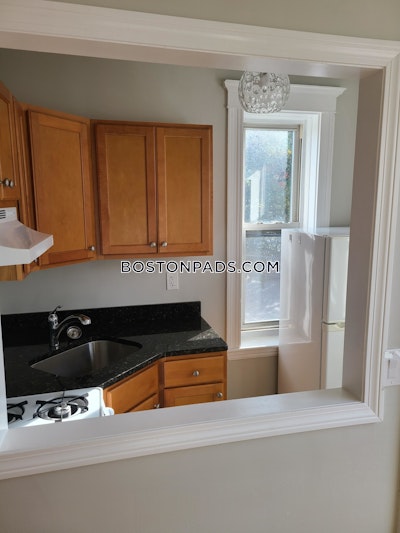 Allston Apartment for rent 1 Bedroom 1 Bath Boston - $2,420 No Fee