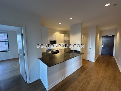 Downtown Apartment for rent 2 Bedrooms 2 Baths Boston - $5,052